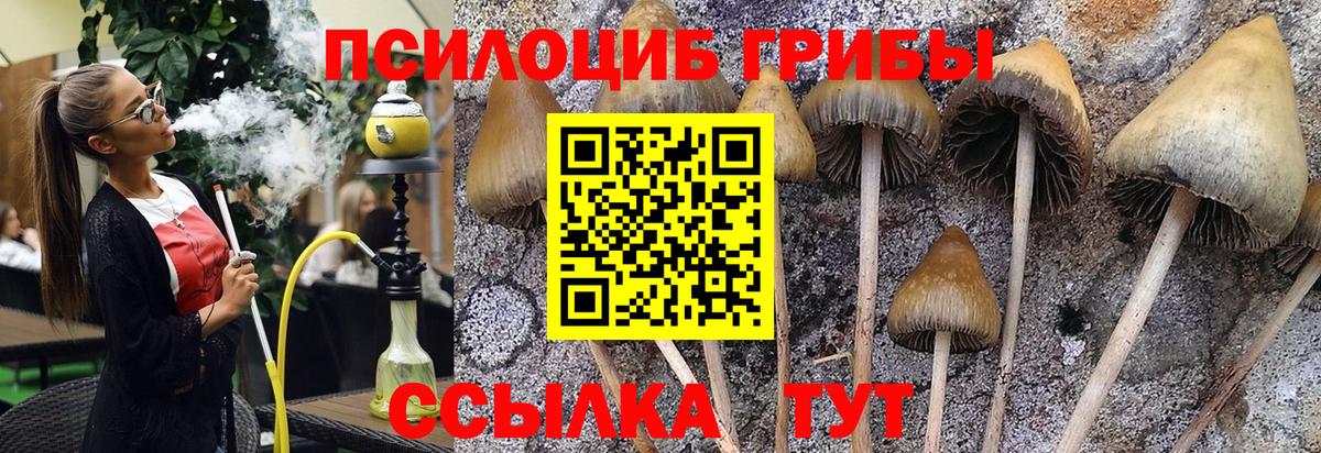 Галлюциногенные грибы MAGIC MUSHROOMS  купить  цена  Псилоцибиновые грибы Magic Shrooms  Ступино  Вход с VPN 